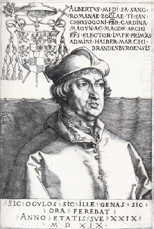 Albrecht Durer Cardinal Albrecht of Bran-Denburg china oil painting image